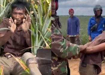 pelaku pencurian sapi diamankan warga di Lampung Tengah