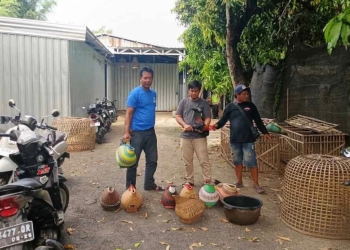 polisi gerebek sabung ayam di kudus pelaku kabur tinggalkan 14 motor