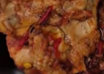 Menu MBG siswa SMK Pekalongan ditemukan berbelatung dalam video viral