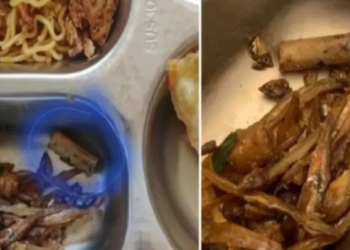 Puntung rokok ditemukan dalam menu MBG anak di Wonogiri