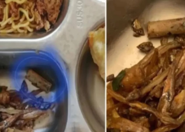 Puntung rokok ditemukan dalam menu MBG anak di Wonogiri