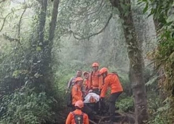 mahasiswa jatuh ke jurang Argopiloso Kudus saat pendakian dini hari