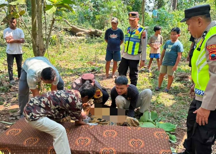 petani Jepara tewas tertimpa pohon randu di Kaliaman Kembang Jepara