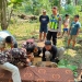 petani Jepara tewas tertimpa pohon randu di Kaliaman Kembang Jepara