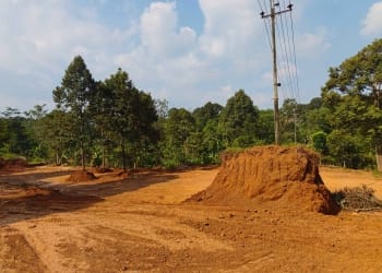 Lokasi galian tanah di Desa Klampitan, Batealit, Jepara yang berada di tikungan rawan kecelakaan dengan tebing dikeruk hingga sekitar 3 meter.