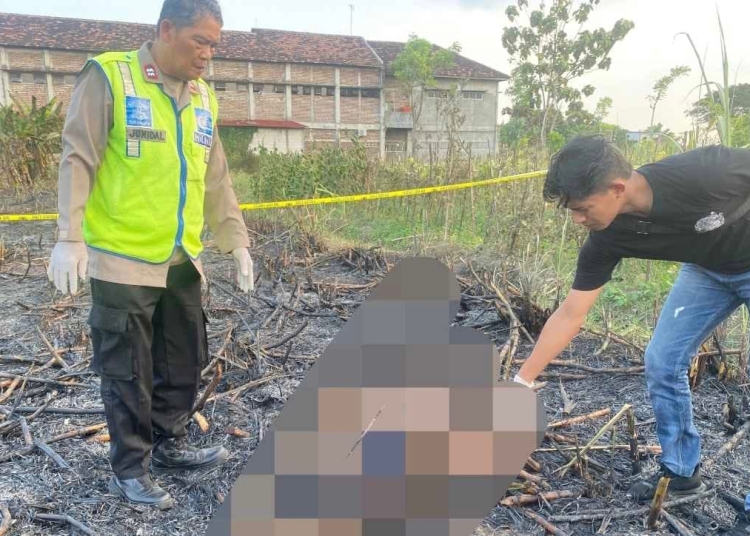 petani Pati tewas terbakar saat bakar lahan tebu di Wedarijaksa