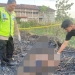 petani Pati tewas terbakar saat bakar lahan tebu di Wedarijaksa