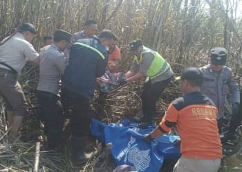 warga Jepara tewas terbakar di kebun tebu Nalumsari saat bakar daun tebu