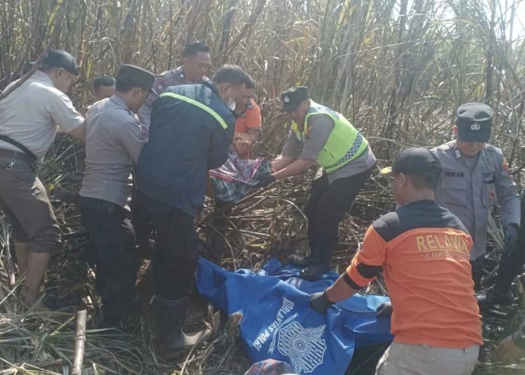 warga Jepara tewas terbakar di kebun tebu Nalumsari saat bakar daun tebu