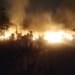 Pabrik mebel di Pakisaji Jepara ludes terbakar diduga akibat korsleting listrik dengan kerugian mencapai Rp1,5 miliar.