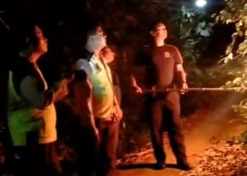 Petugas Damkar mengevakuasi sarang lebah vespa raksasa di Desa Damarjati, Kalinyamatan, Jepara setelah seorang warga tersengat hingga pingsan