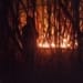 Lahan tebu terbakar di Desa Jerukwangi, Kecamatan Bangsri, Jepara