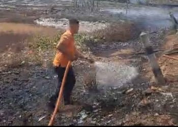 Kebakaran lahan dan gudang garam di Desa Kedungmalang, Jepara