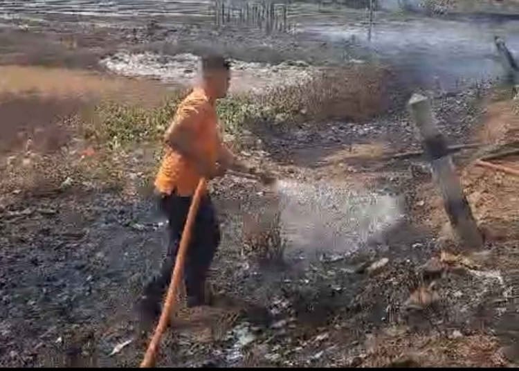 Kebakaran lahan dan gudang garam di Desa Kedungmalang, Jepara