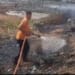 Kebakaran lahan dan gudang garam di Desa Kedungmalang, Jepara