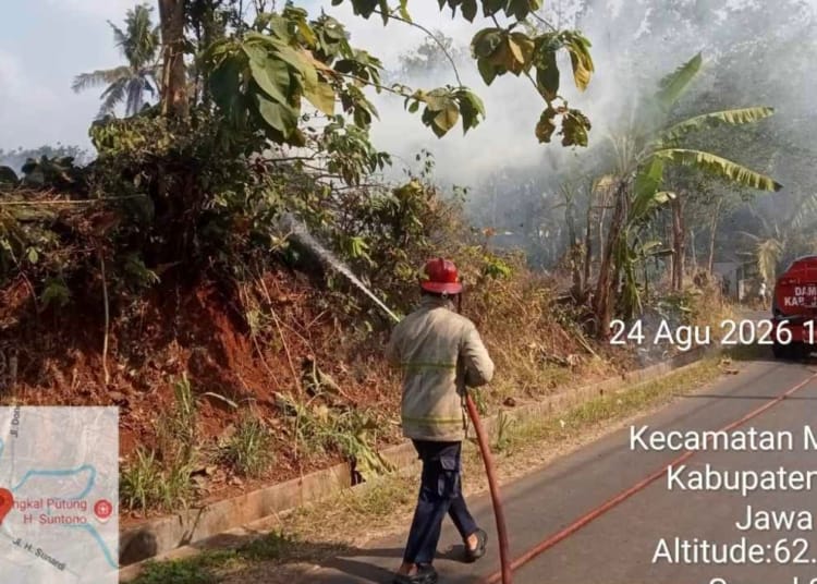 Kebakaran semak di area Gudang TTBKA Desa Jambu Barat, Mlonggo, Jepara