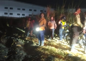 Kebakaran lahan tebu di Desa Sengonbugel Jepara