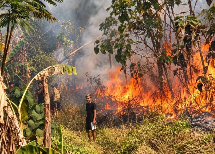 Kebakaran lahan di Bandengan Jepara, api membakar semak-semak dan pepohonan