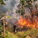Kebakaran lahan di Bandengan Jepara, api membakar semak-semak dan pepohonan
