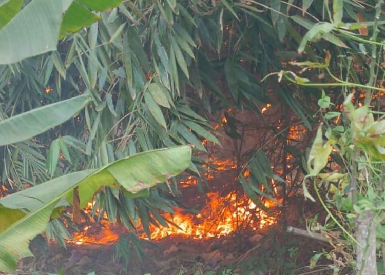 Lahan bambu terbakar di Desa Jerukwangi Bangsri Jepara akibat pembakaran sampah