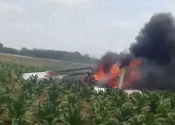 Pesawat aerosport Sky Ranger jatuh dan terbakar di persawahan Blora