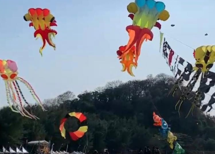 Jepara Kite Festival 2026 di Kabupaten Jepara