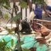 PT Urecel Indonesia dilaporkan terkait dugaan penutupan dan penyempitan badan sungai di Desa Suwawal Jepara