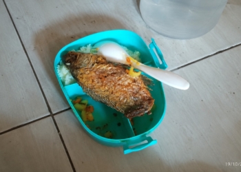 Menu MBG berupa ikan goreng utuh yang masih berduri untuk anak KB di Batealit, Jepara, viral di TikTok pada 19 Oktober 2026.