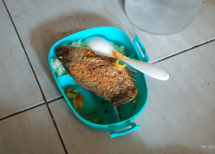 Menu MBG berupa ikan goreng utuh yang masih berduri untuk anak KB di Batealit, Jepara, viral di TikTok pada 19 Oktober 2026.