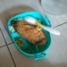 Menu MBG berupa ikan goreng utuh yang masih berduri untuk anak KB di Batealit, Jepara, viral di TikTok pada 19 Oktober 2026.