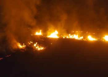 Lahan tebu seluas 7 hektare terbakar di Brantaksekarjati Welahan Jepara