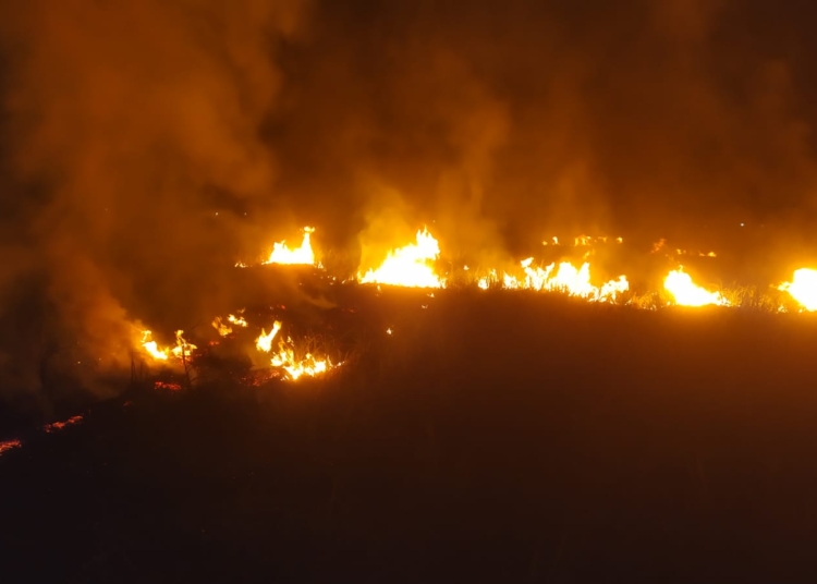 Lahan tebu seluas 7 hektare terbakar di Brantaksekarjati Welahan Jepara