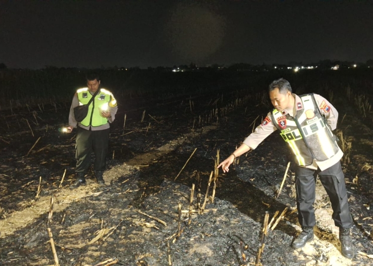Pria tewas terbakar di lahan jagung Desa Kalipucang Kulon, Welahan, Jepara.